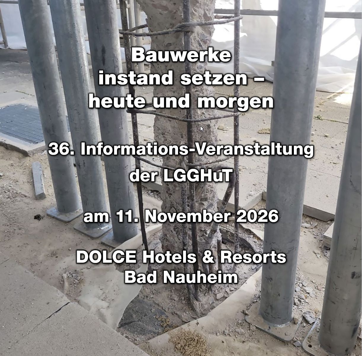 Ankündigung: 36. Informationsveranstaltung der LGGHuT am 11. November 2026 in Bad Nauheim